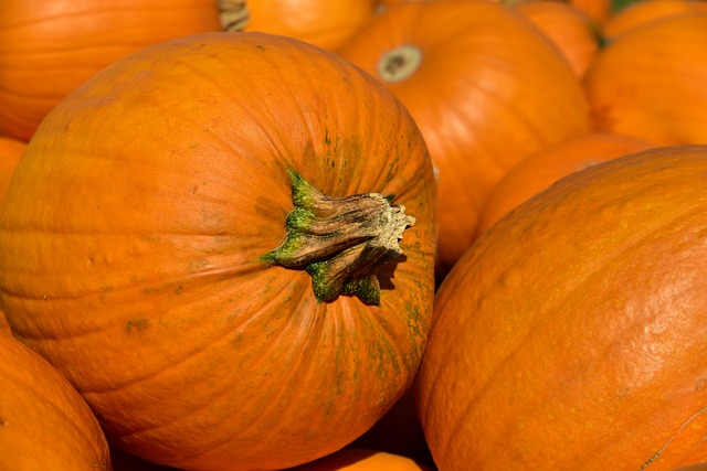 dýně na halloween